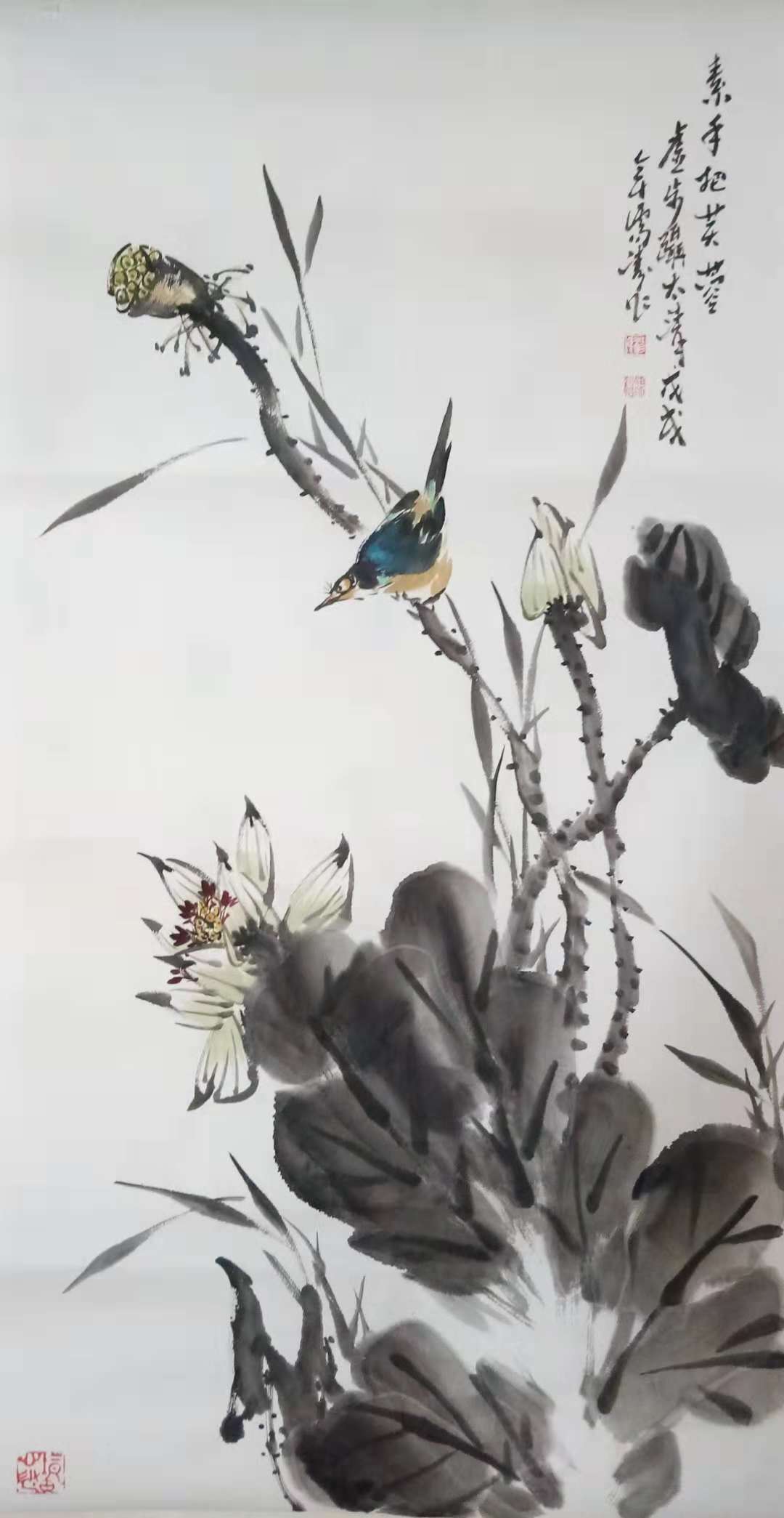 著名画家杨儒涛简介