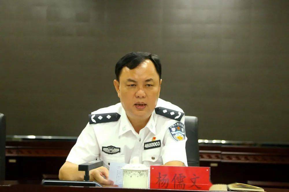 杨儒文，揭秘他的职位与影响力