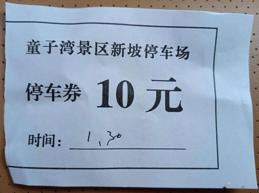 旅游景点村民收停车费现象探讨