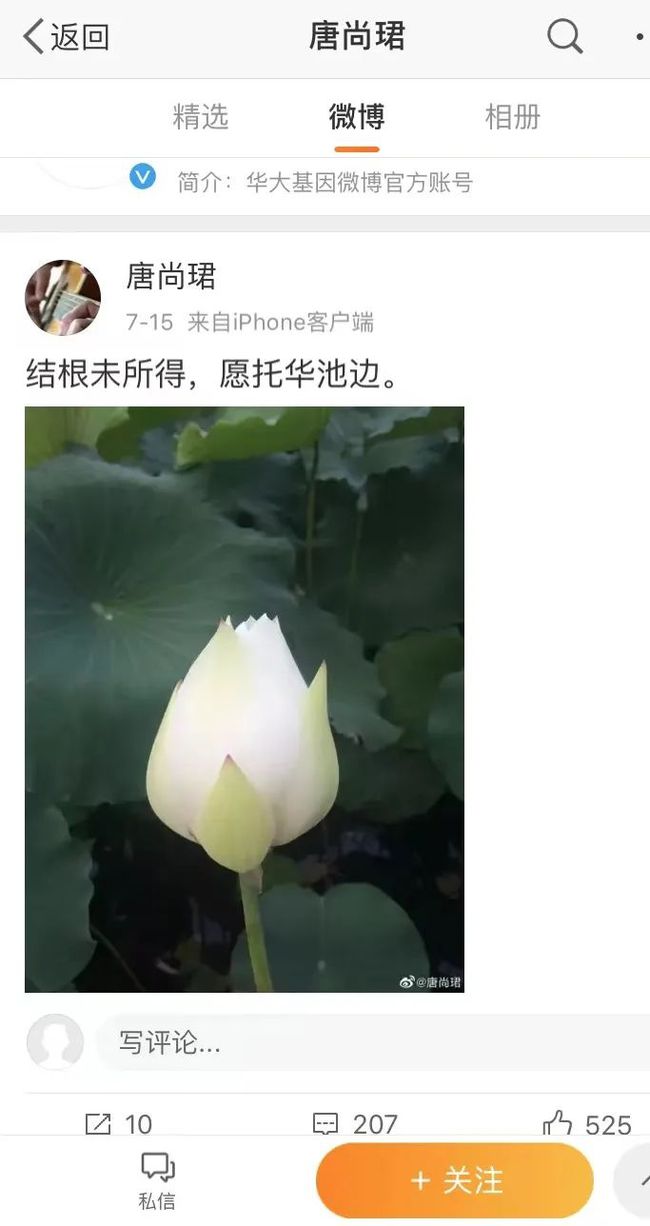 2023年回望，唐尚珺的现状探索