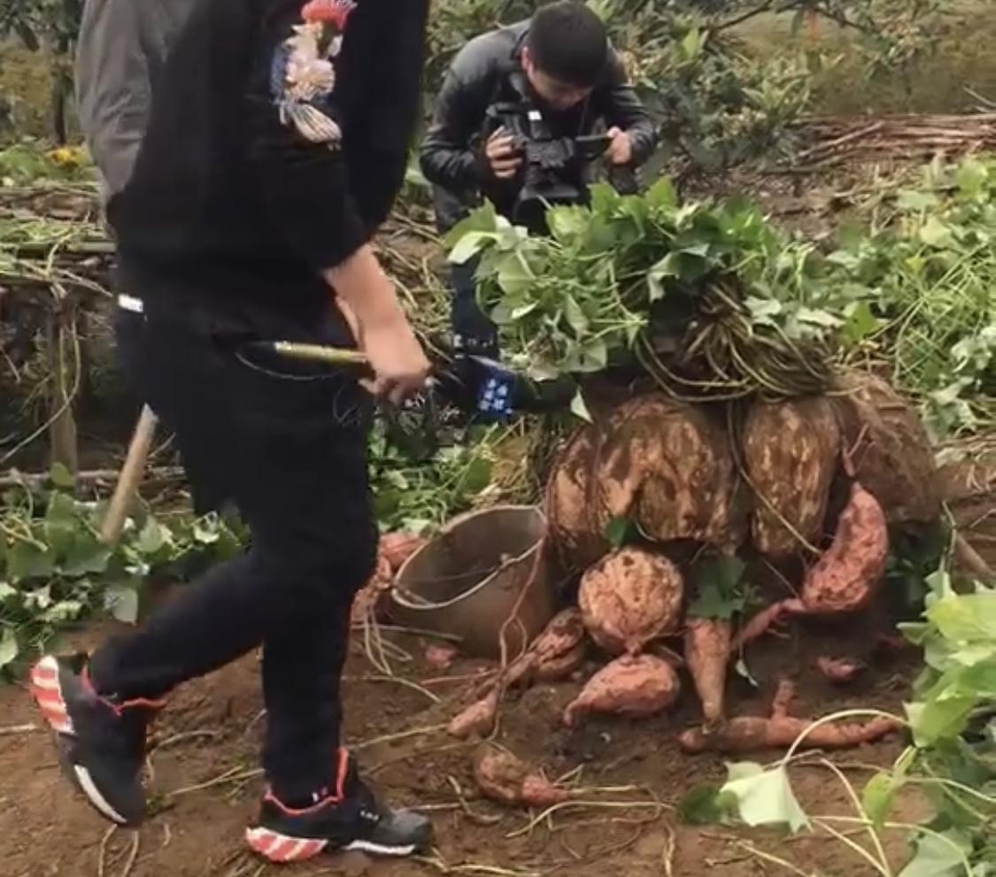 不到100斤，关于轻量级力量的多元解读