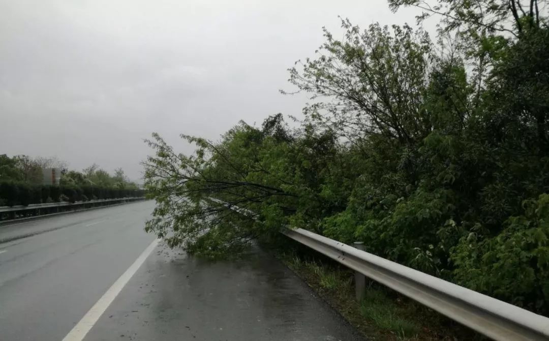 湖北暴雨冰雹强风，一场自然力量的洗礼