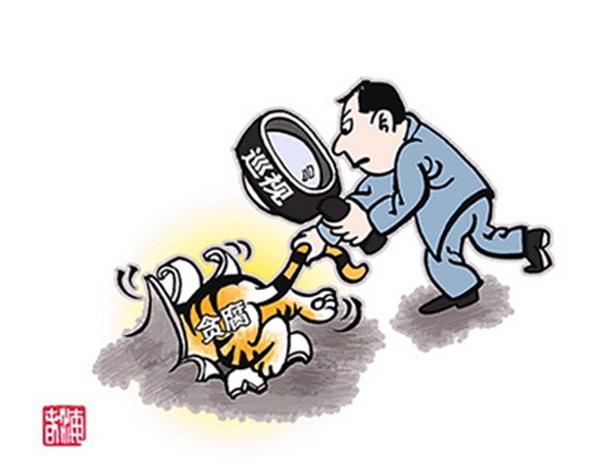 中央巡视组进驻六省区的深度观察