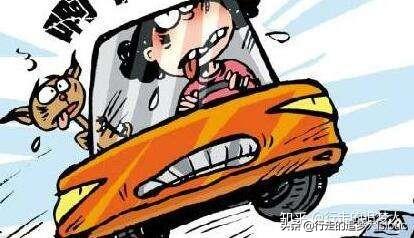 雇车出了事故谁负责，事故责任判定与应对攻略
