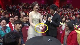用格莱美慢镜头看广交会