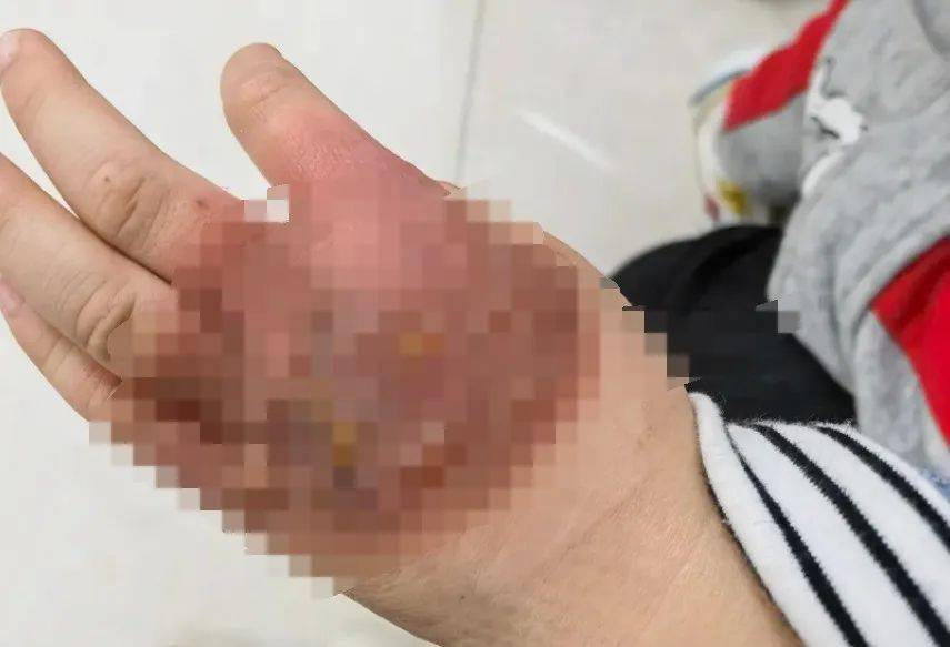 叶童回应被粉丝拽下车事件深度解析