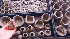 废弃猪场变花园，重塑自然之美的故事