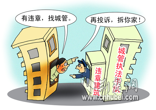 举报违建两度遭袭击，正义之路上的艰难与勇气