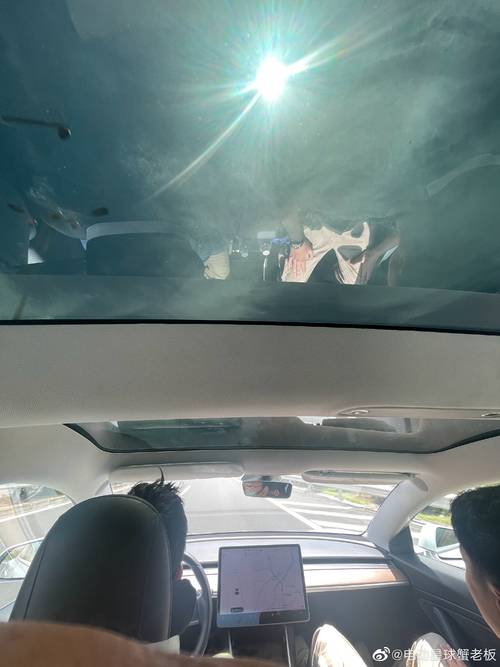 一理想在车外被语音唤醒开门遭泼水事件全解析
