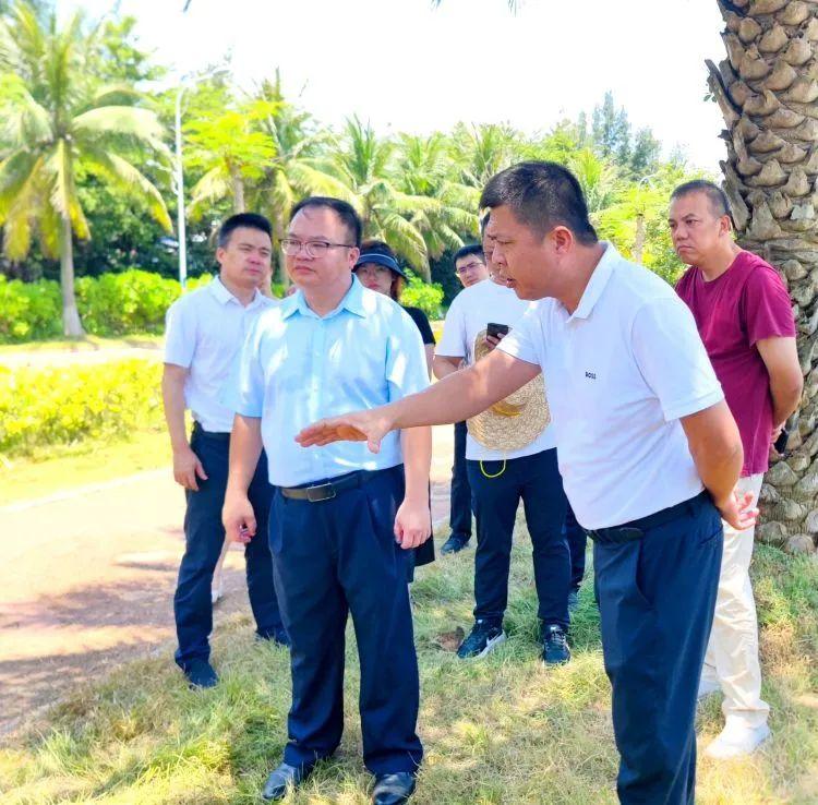 海口美兰区长吴升娇离世，终年41岁，缅怀与回顾