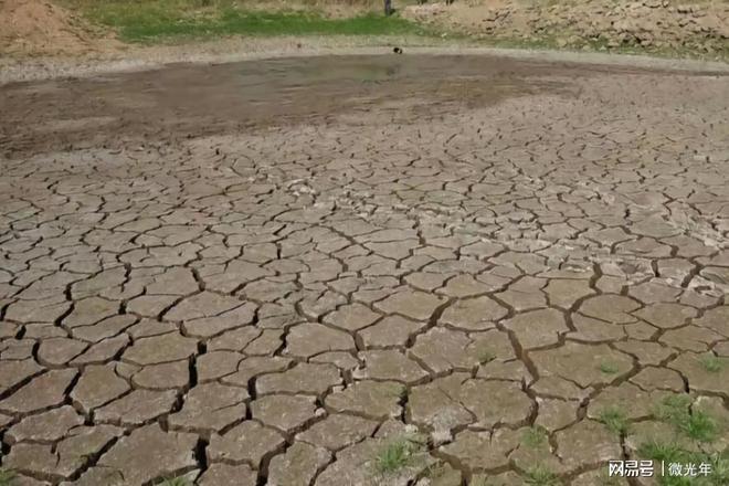 村民跪地求雨竟是摆拍？探究背后的真相与反思
