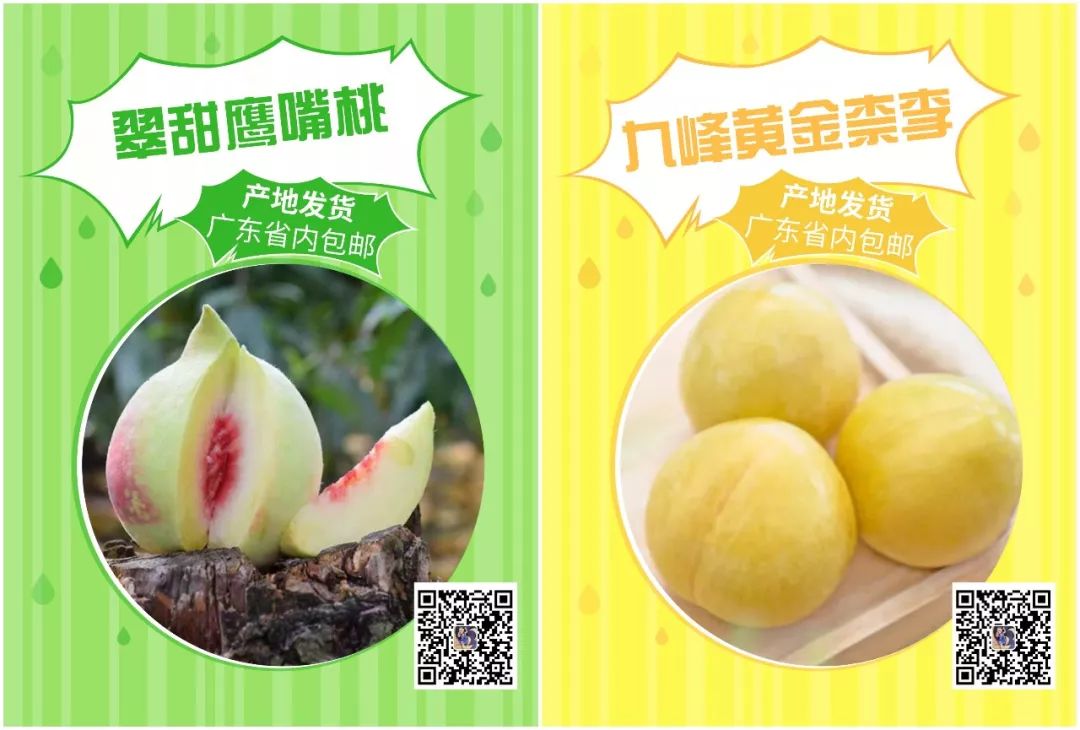 小度有什么特产