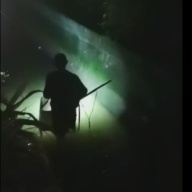 醉酒男深夜强闯女寝，事件背后的反思与警醒