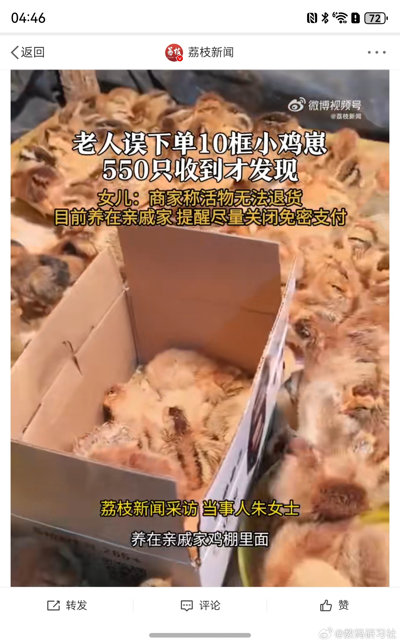 家属回应老人免密支付买了550只鸡崽，数字背后的故事与反思