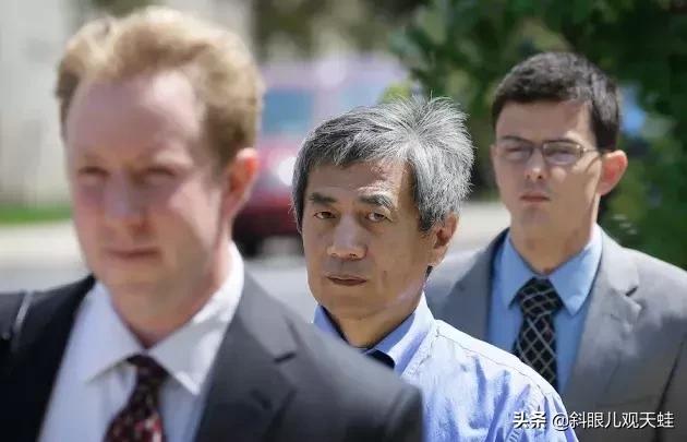 美元崩了，全球货币体系的挑战与未来展望