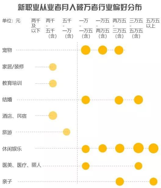 月入两万的神秘职业，探寻高收入职业的奥秘