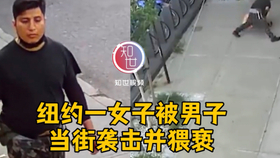 围绕教皇方济各的谣言探究
