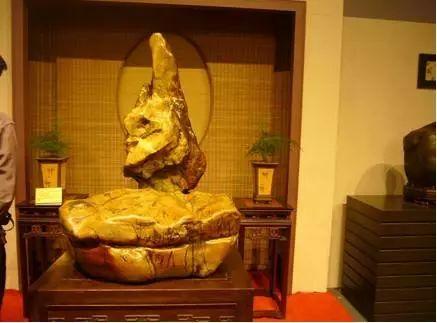 家里石头的奇幻之旅