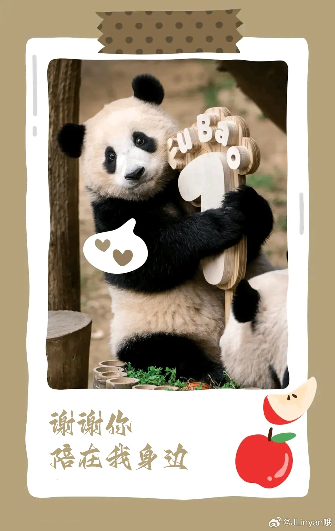 福宝进入假孕状态了吗？探究动物世界的奇妙现象