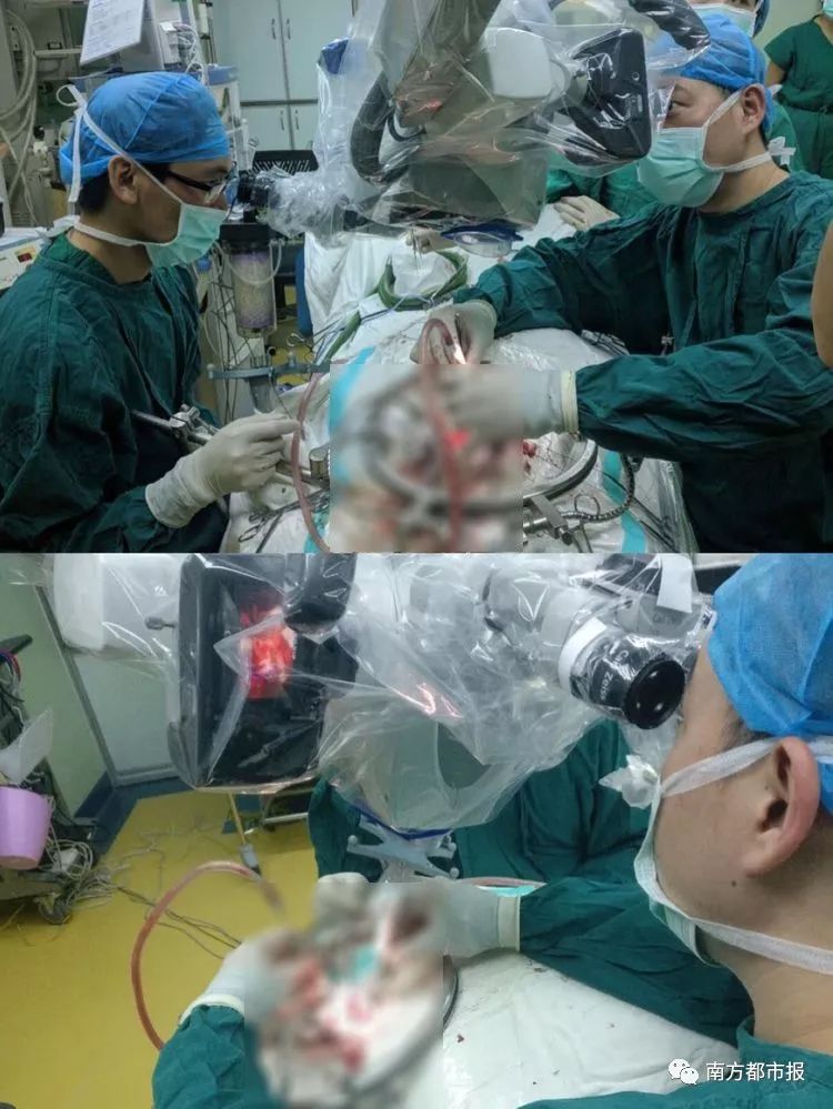 脑干出血死亡过程视频，深度解析与理解