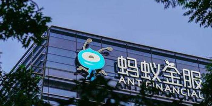 蚂蚁公司大规模招聘，开启职场新篇章！