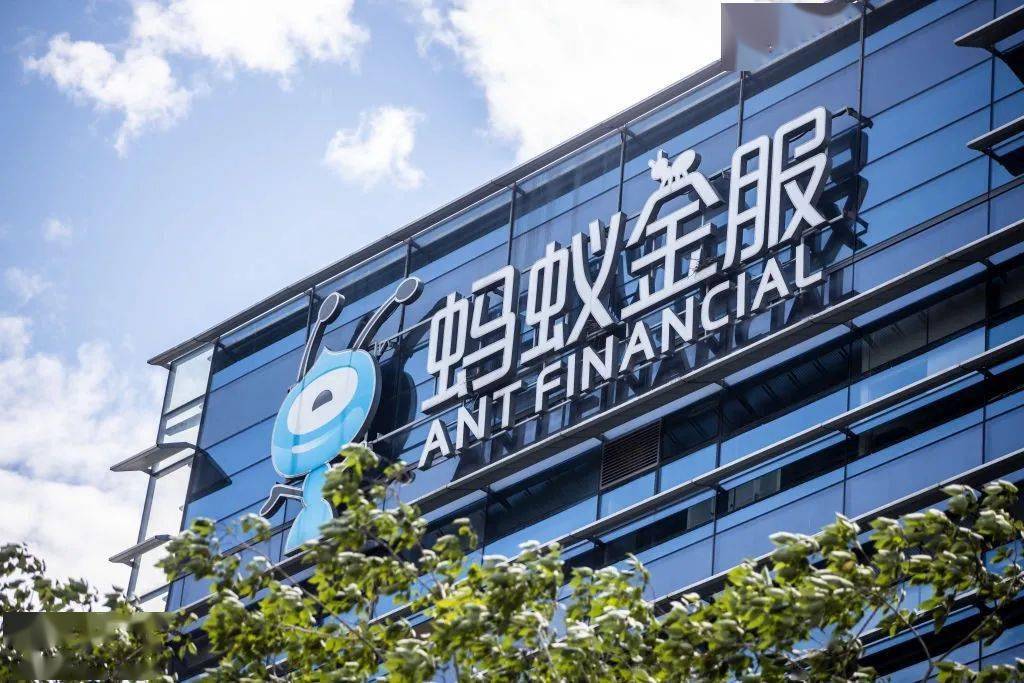 蚂蚁公司大规模招聘，开启职场新篇章！