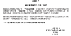 蚂蚁集团的股份分配，深度解析与观察