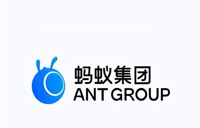 蚂蚁集团的股份分配，深度解析与观察