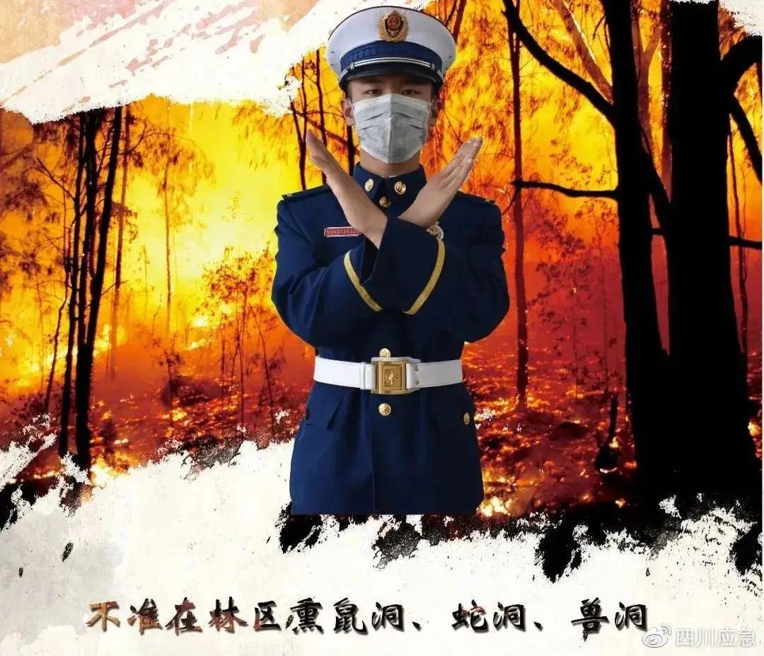 熊孩子放火烧山，一场灾难背后的警示与反思