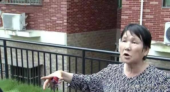 深圳殉情男事件，岳母的发声与背后的故事
