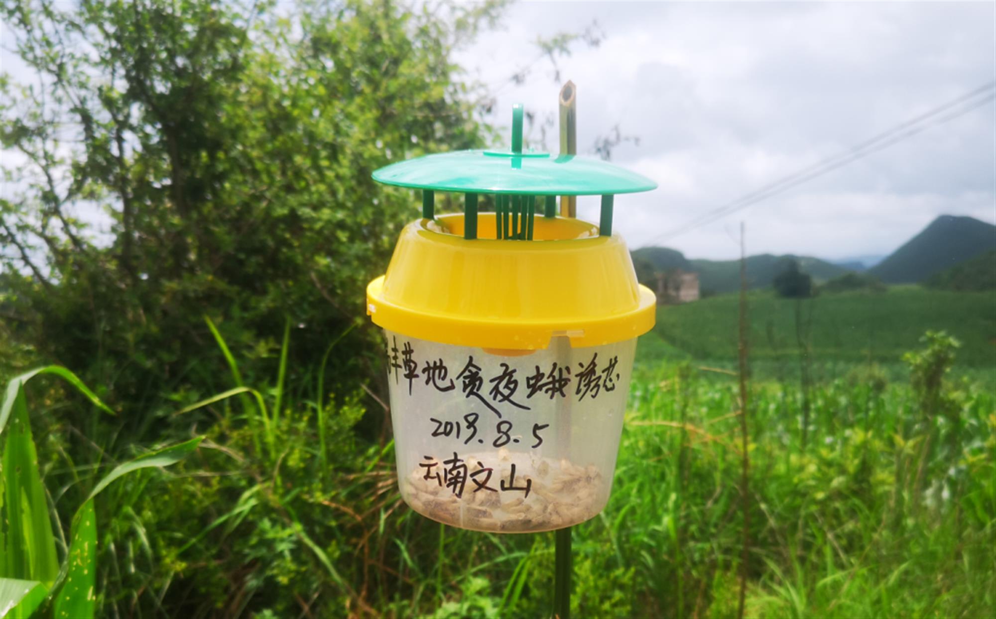 北方春天，南方人眼中的诱捕器