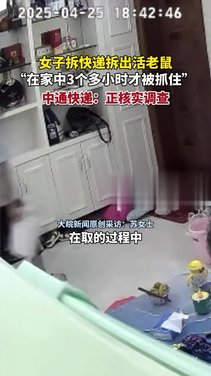 拆快递拆出活老鼠，惊魂一刻的背后真相