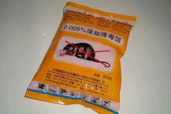 快递老鼠药是否属于违禁品？深度解读相关法规与常识