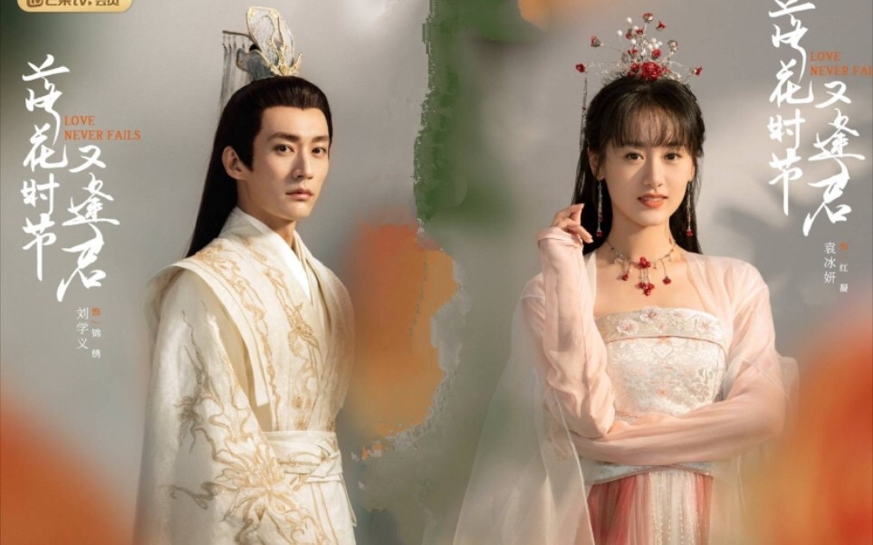 落花时节又逢君，揭秘主演神秘面纱