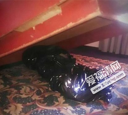 住酒店遭遇陌生人藏床底，惊魂经历还是荒诞闹剧？