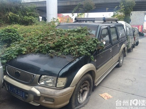 路边僵尸车的合法收走攻略