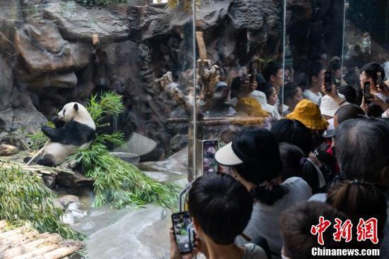 北京动物园之星，萌萌的魅力之旅