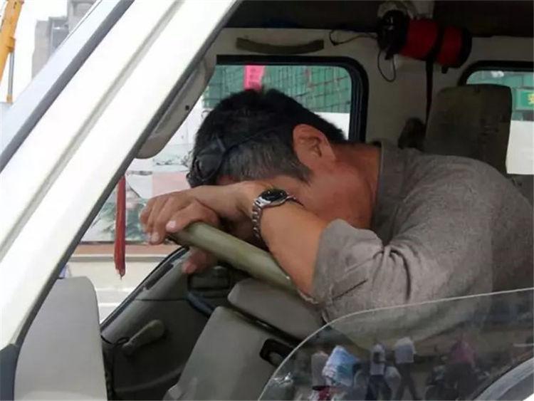 网友上了高速发现全都是聪明人——一路上的见闻与感悟