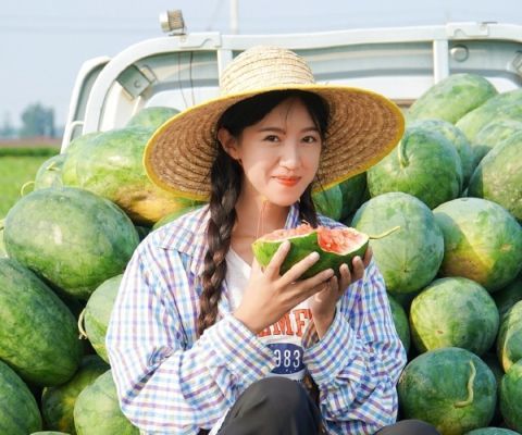 回乡之路，95后女孩为父辞职成网红的心路历程