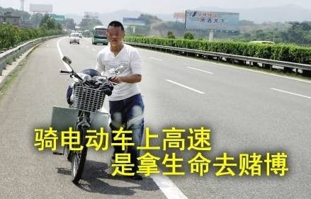 洛阳一车高速逆行事件深度解析