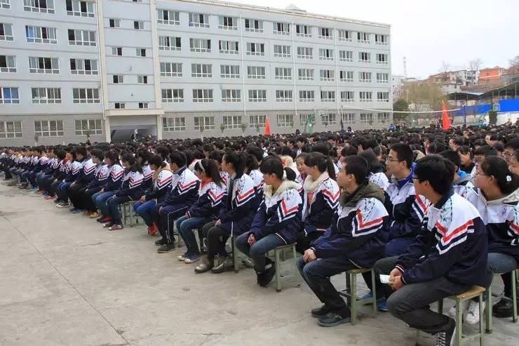 陇南武都学校，培育梦想的摇篮