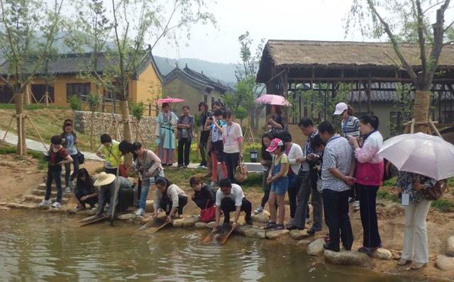 游客花80元体验租腿登泰山，一次别样的旅行冒险