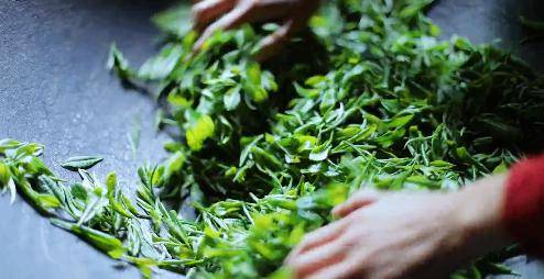 千万粉丝网红带货茶叶翻车事件深度解析