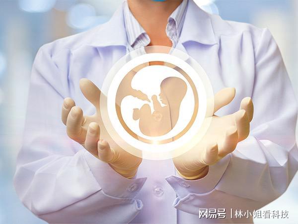 违规为单身女性做试管婴儿医院被查，深度剖析与反思