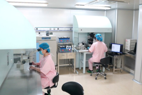 违规为单身女性做试管婴儿医院被查，深度剖析与反思