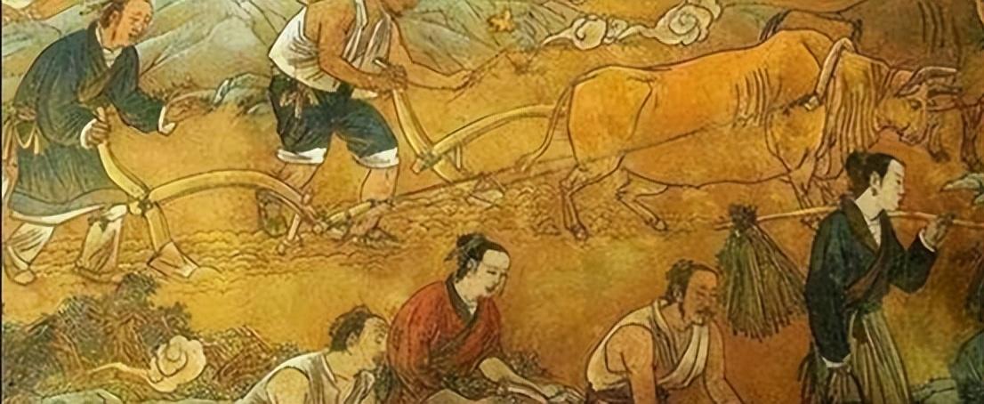 深度解读，此次关税改革的多重影响与前景展望