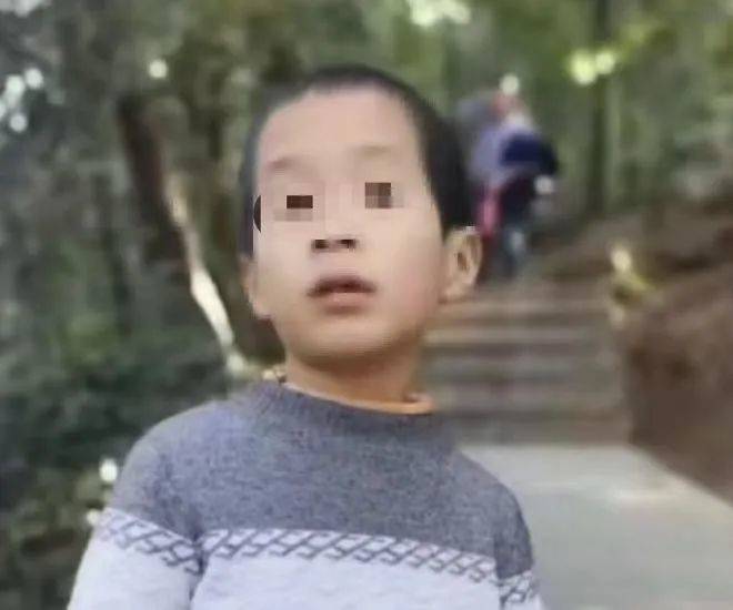 八岁男孩失踪找到了吗？真相揭晓之路