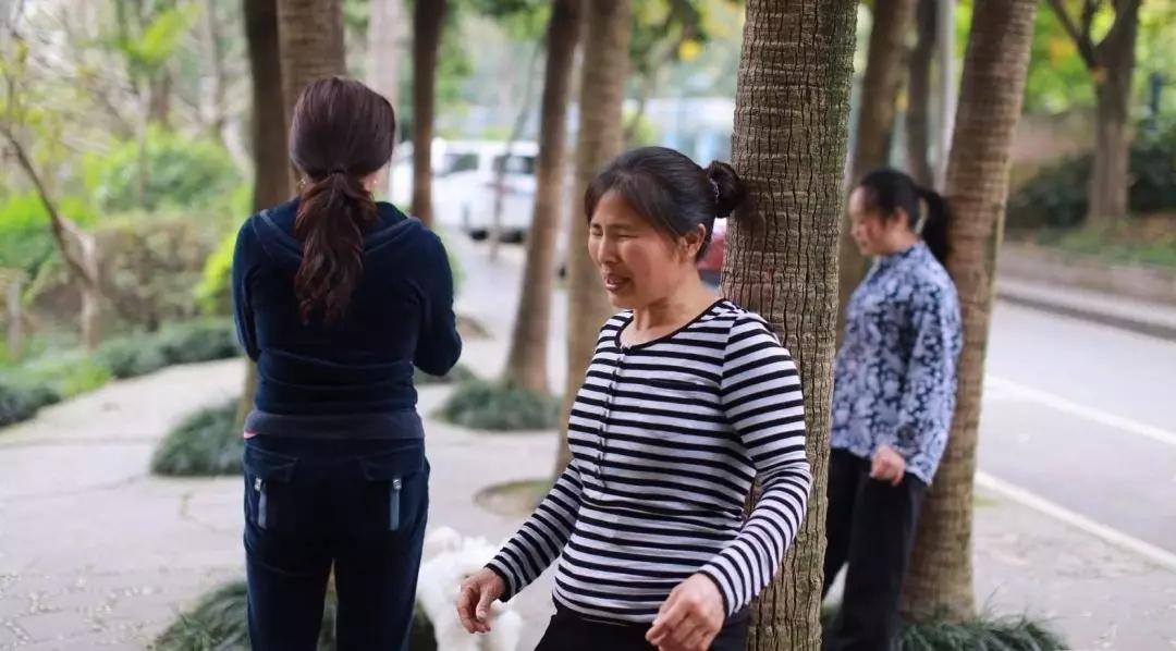 撞树对颈椎病的潜在风险与坏处