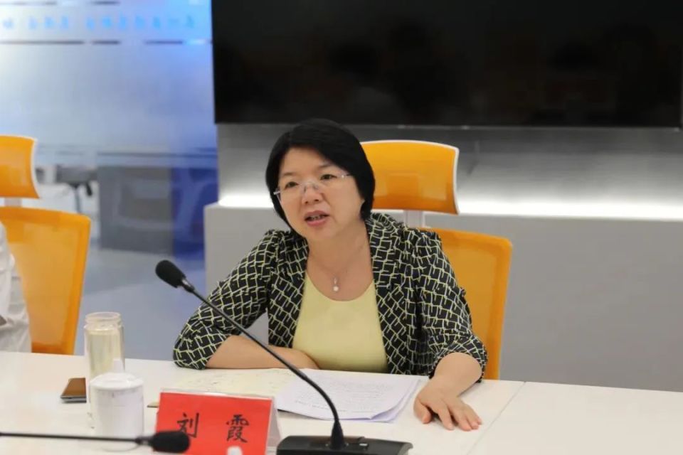 刘霞任上被查，聚焦事件背后