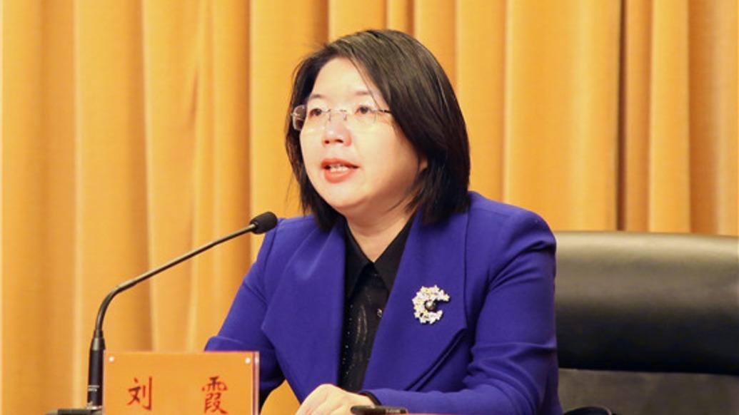 刘霞任上被查，聚焦事件背后